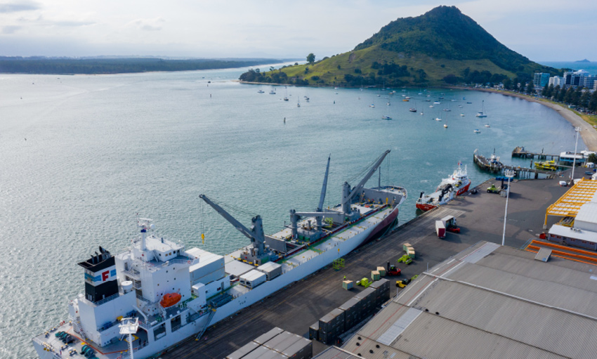 CMA CGM and Zespri consider low emissions shipping corridor&nbsp;