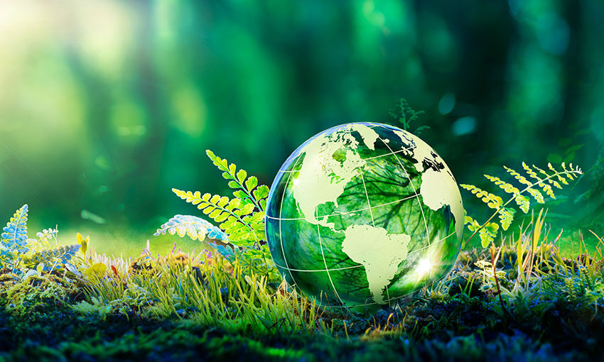 Demand for oil to halve by 2050: DNV