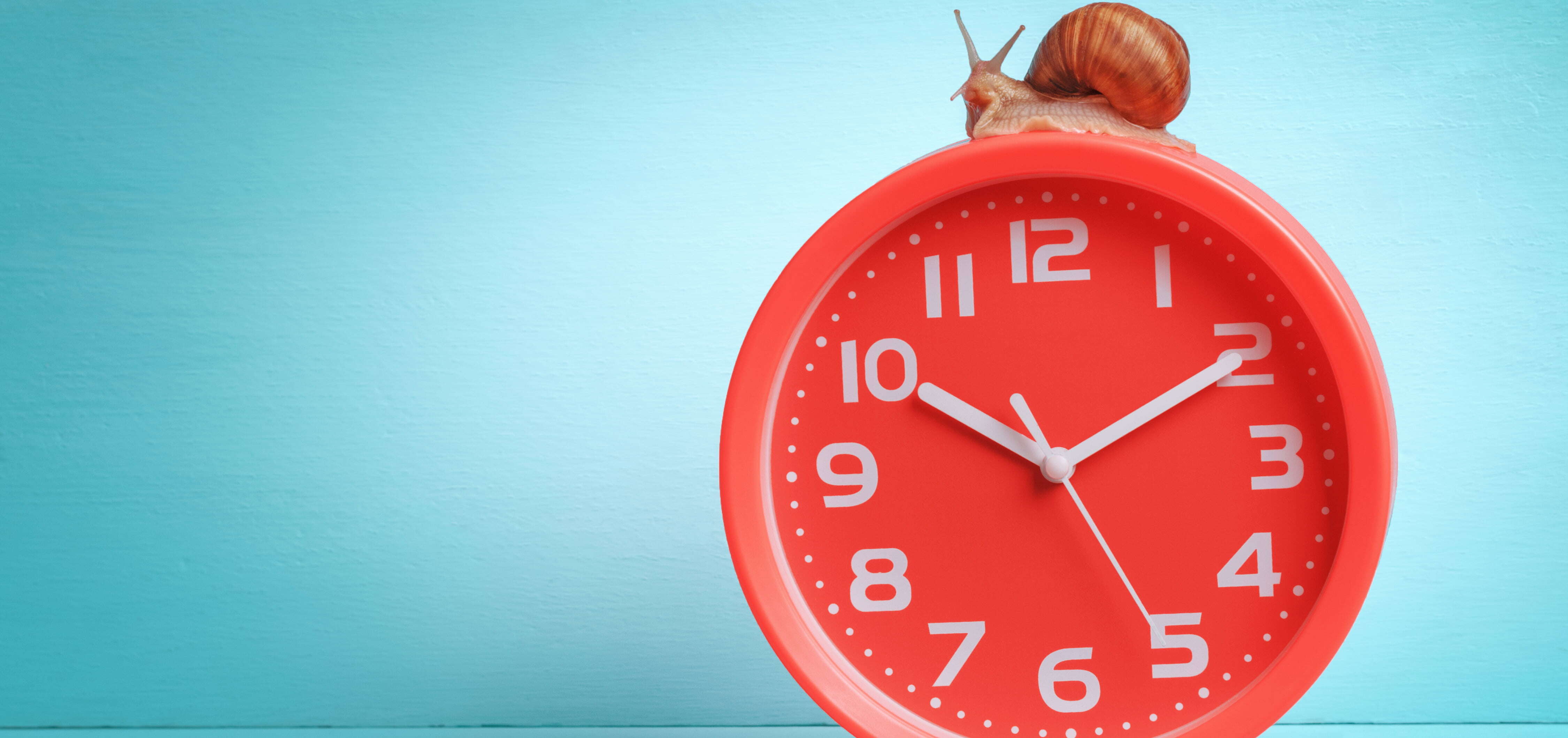 VTA backs Road Occupation Charge