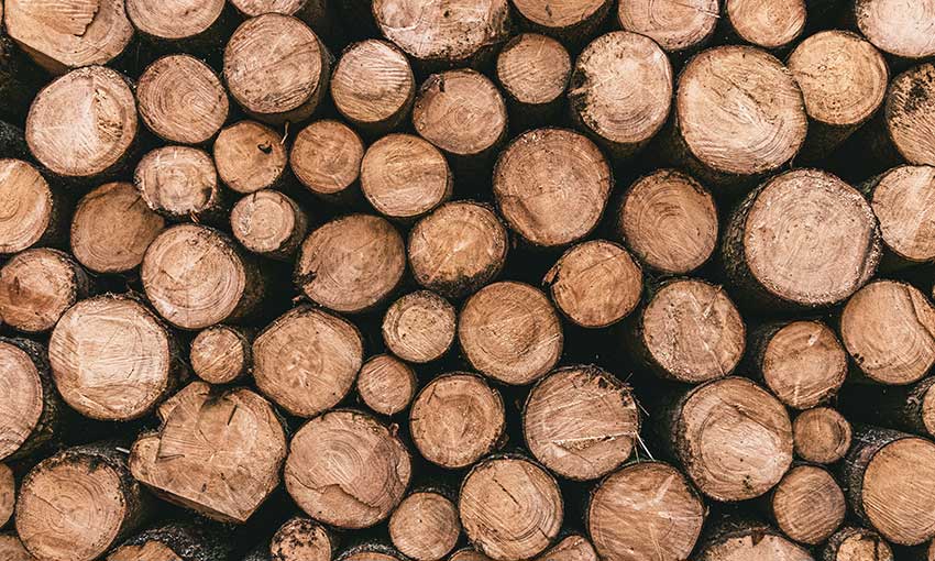 Logs shift to rail in Tassie