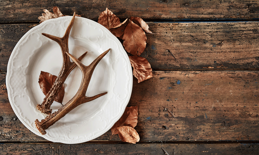 Consultation sought on export control rules for animals and game