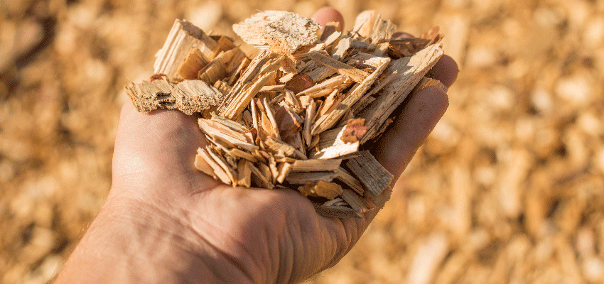 Report confirms China’s demand for Australian wood