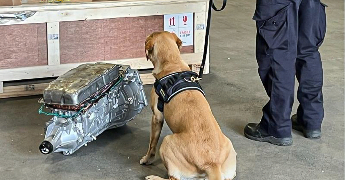 Two charged over alleged methamphetamine import via sea freight