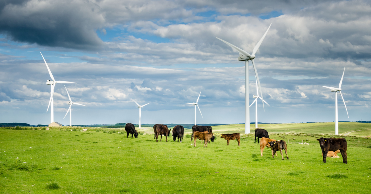 Approval for Tasmanian windfarm