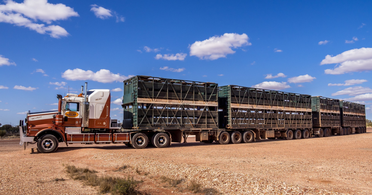 Image: Serge Goujon / Shutterstock