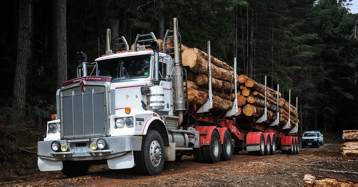 Green Triangle plan needs funding and delivery dates, ALC says