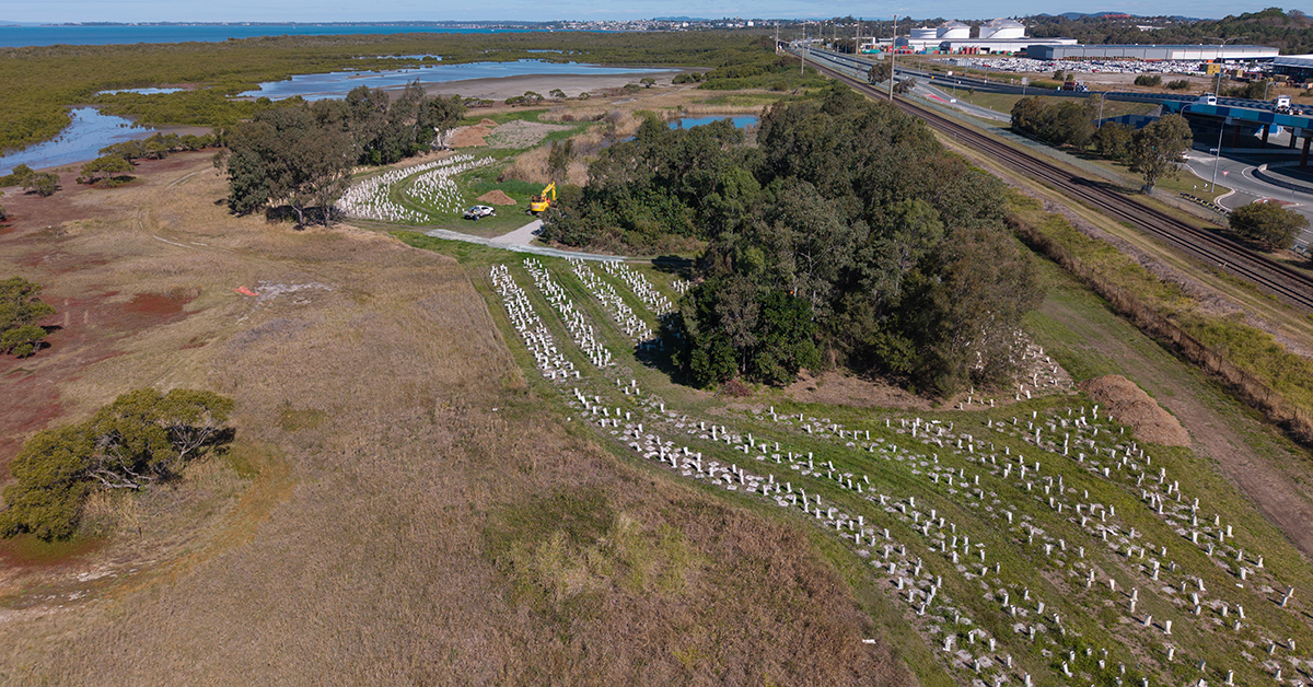 Brisbane goes batty for Whyte Island rehabilitation