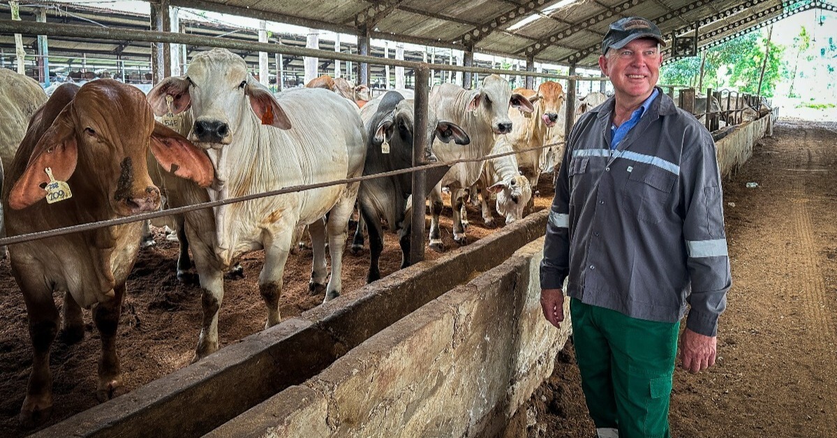 Queensland beef exports highlighted in Indonesia