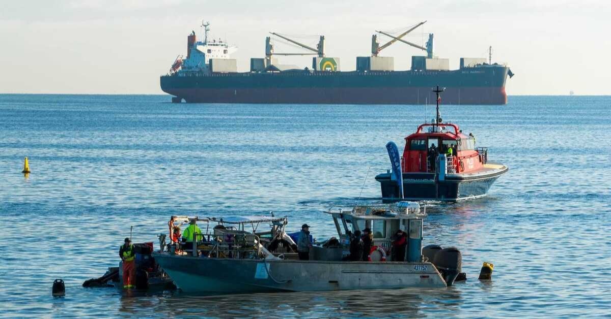 Mussel harvest underway. Image: Fremantle Ports