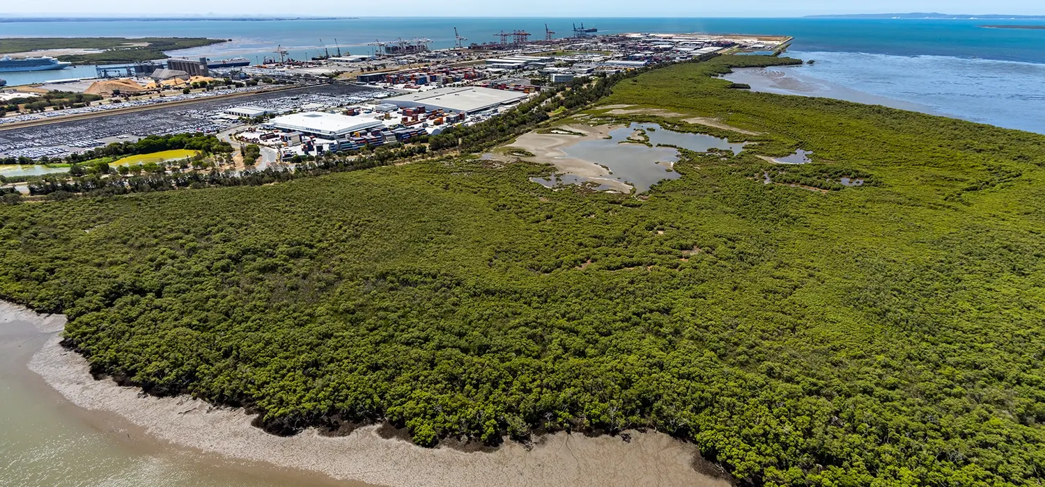 The Port of Brisbane operates in an area of high ecological significance