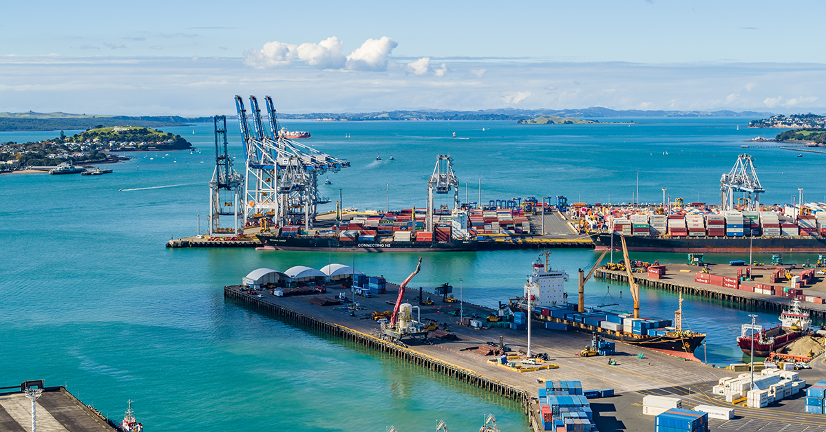 Former Auckland chief’s appeal dismissed