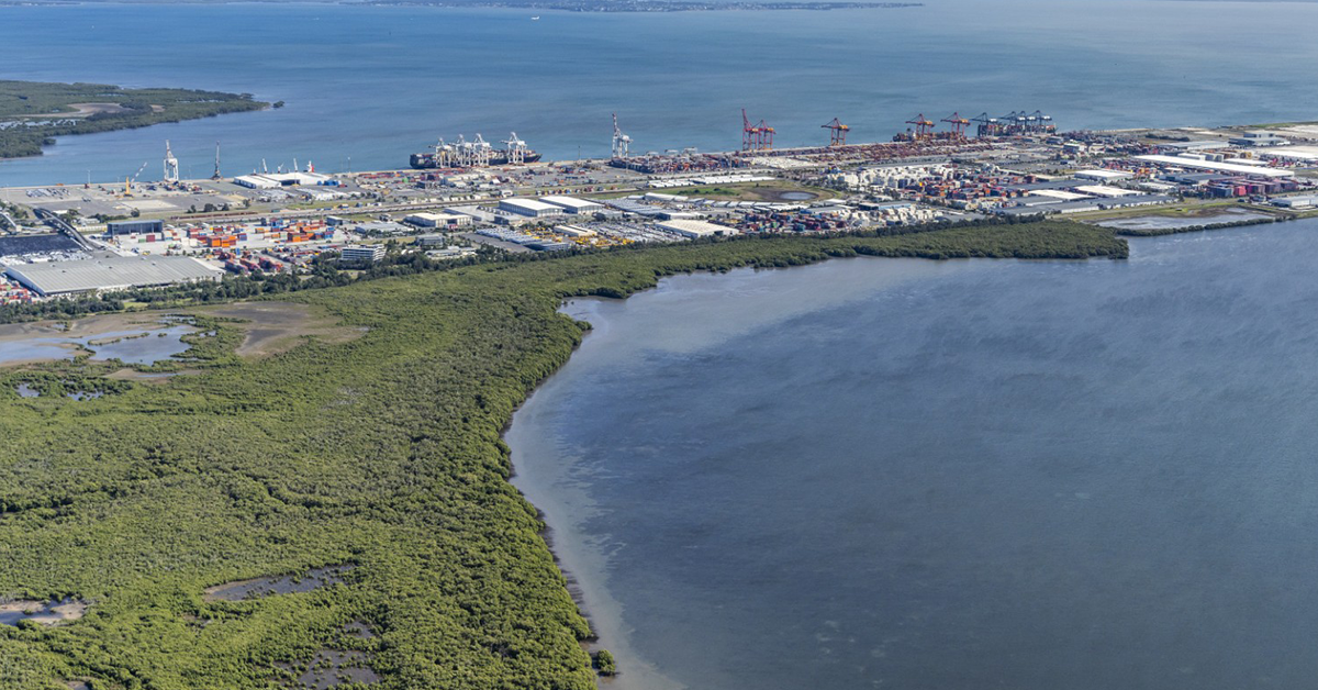 Australian ports and protecting mangrove reserves