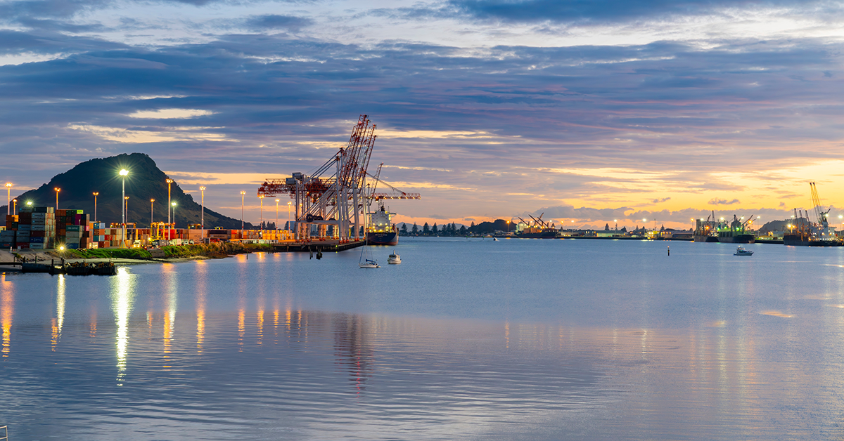 Stella result for Tauranga