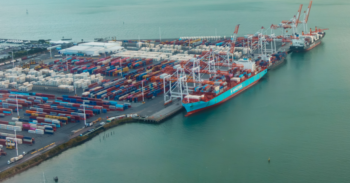 Strong Q1 FY 2026 for Tauranga