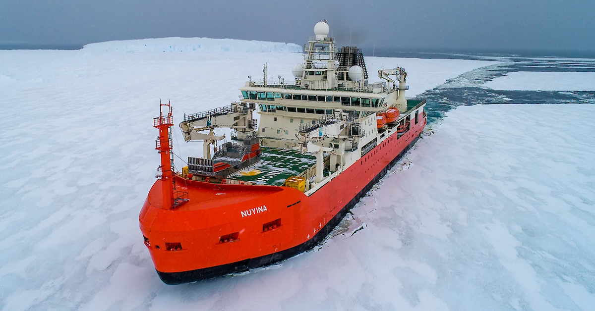 Having touched base, Nuyina touches bottom