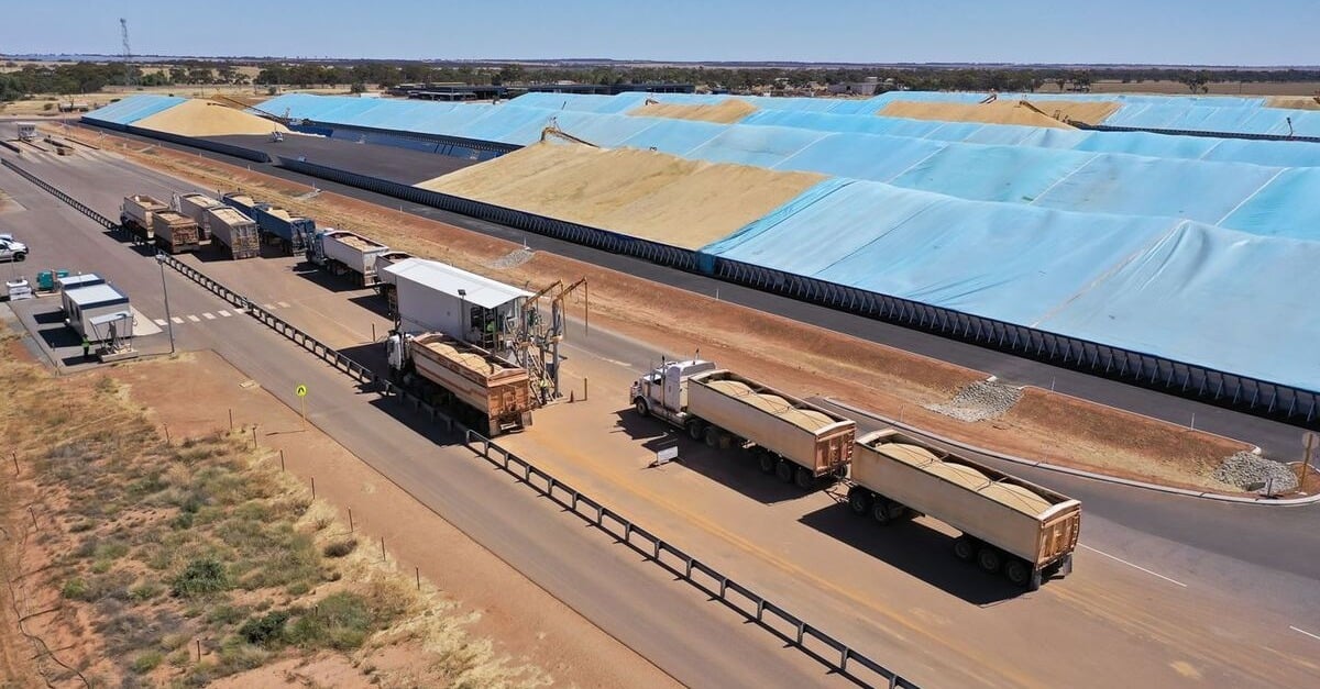 Record grain harvest from WA