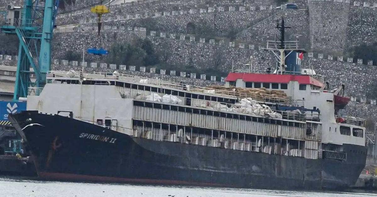 Older ships not to blame for poor livestock transport says ALEC