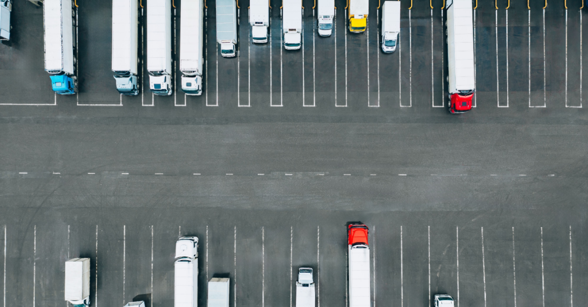 Report shows AI and digitisation improve bottom line