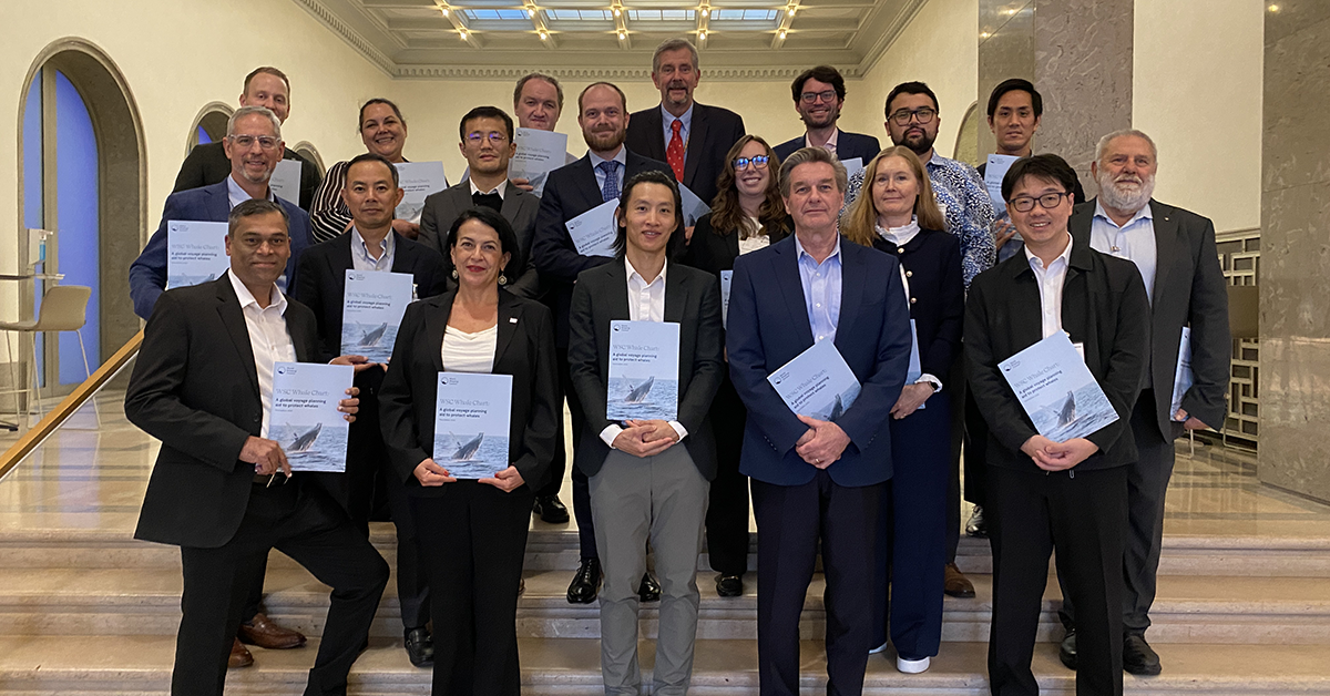 Chart update to help protect whales