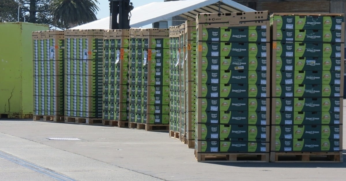 Zespri kiwifruit packed and ready to go. Image: Port of Tauranga