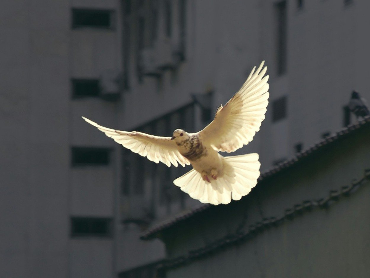 Credit: Sunguk Kim and Unsplash