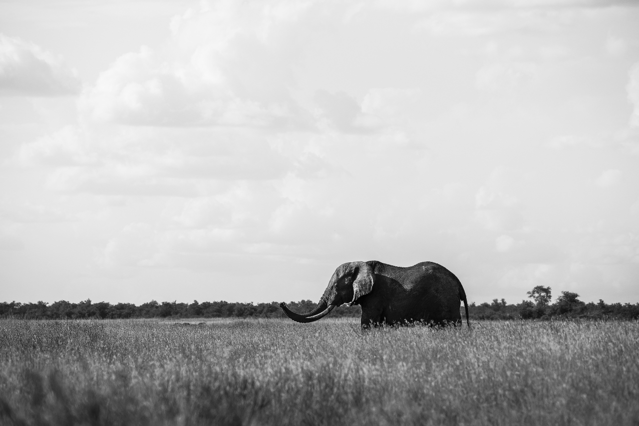 White elephants: Money wasted on port infrastructure in Timor-Leste
