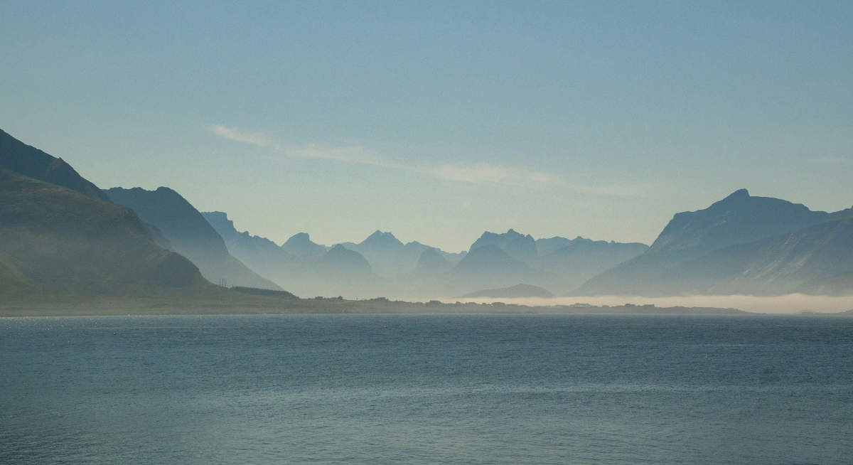 Credit: Fridi Antrack and Unsplash