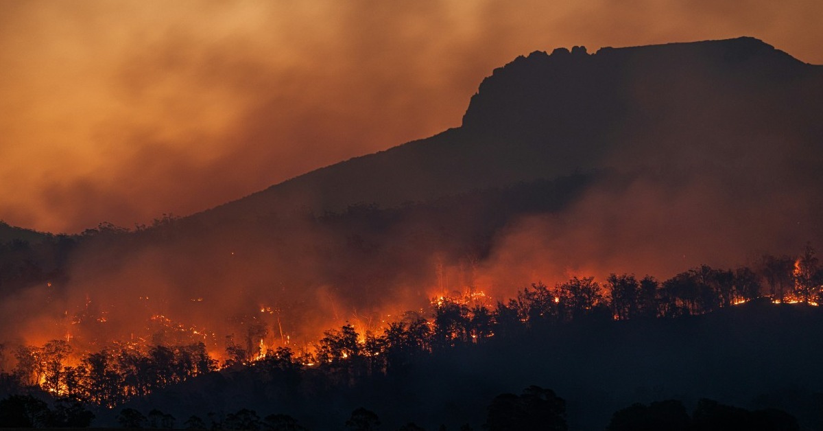 Image: Matt Palmer / Unsplash