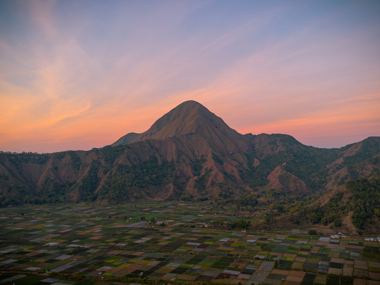 Credit: Mayur Arvind and Unsplash