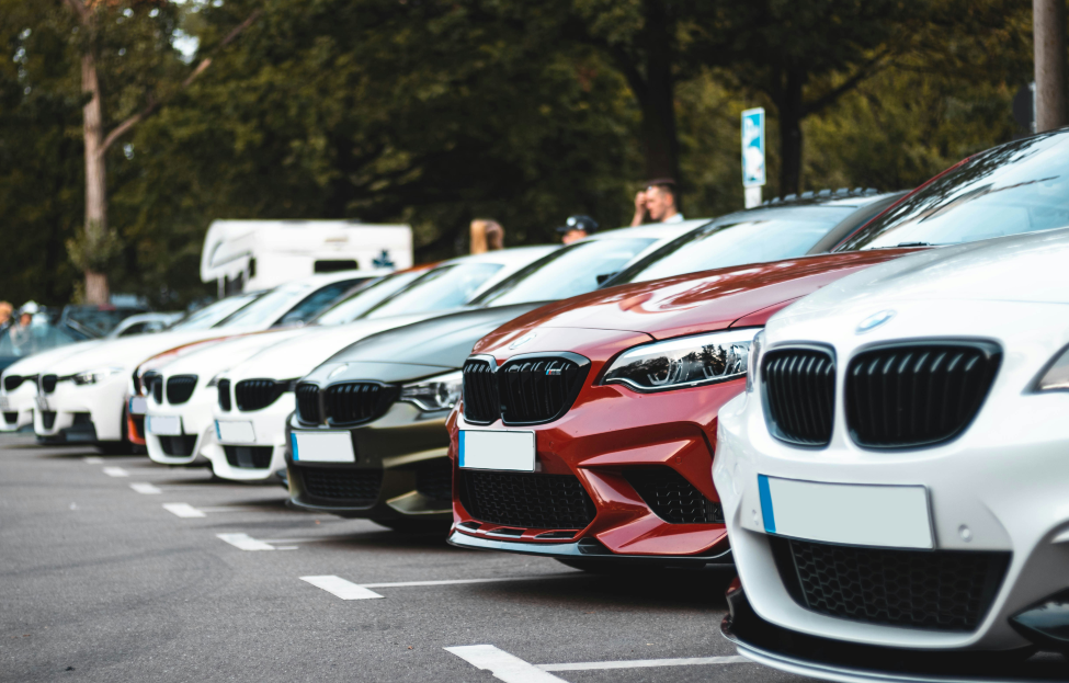 Image: Sara Kurfess and Unsplash