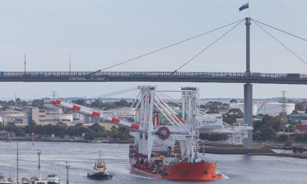 DPWA close to completing super-crane investment