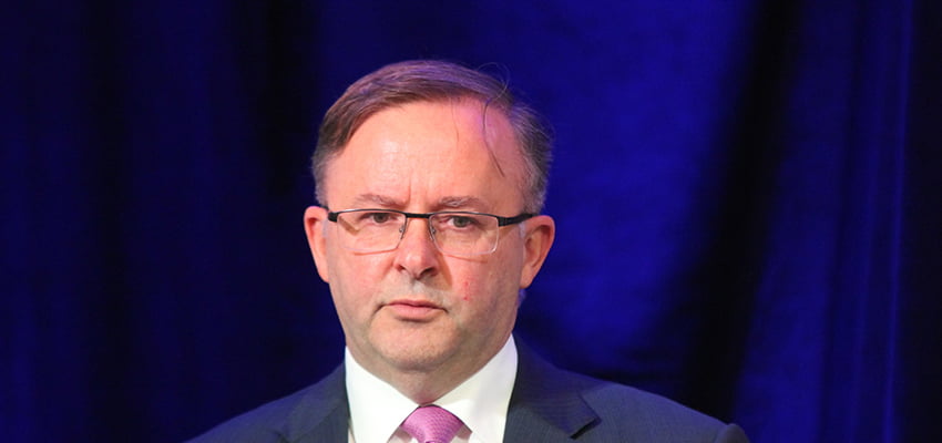 Albanese closer to leadership after Bowen withdraws