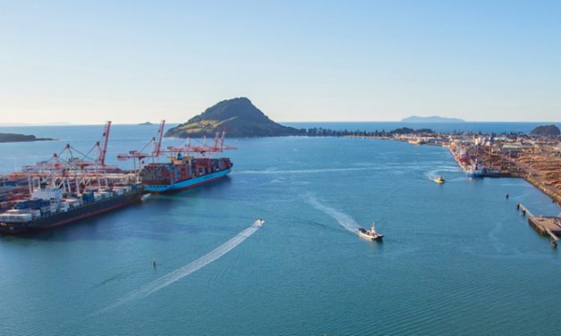 Cargo volumes flat at Port of Tauranga