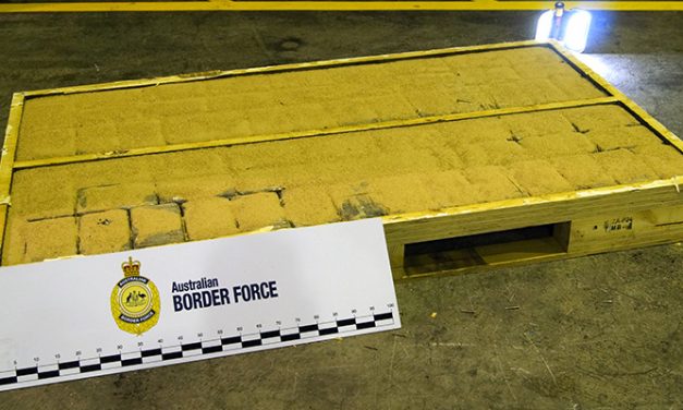Large cocaine cargo hidden in shipping container