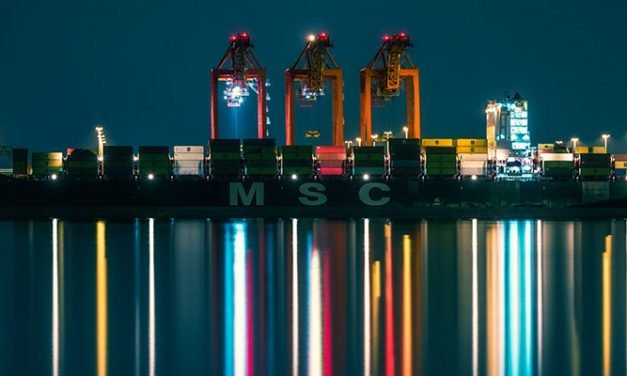 VIDEO: MSC Elma docks at Port Botany