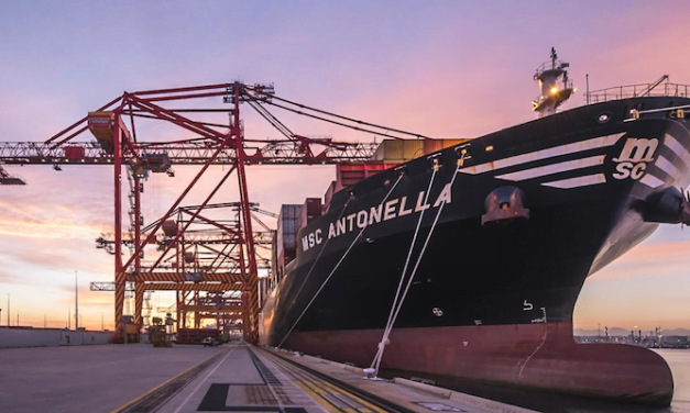 Another large ship for NSW Ports