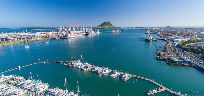 NZ port records profit on the back of cargo growth