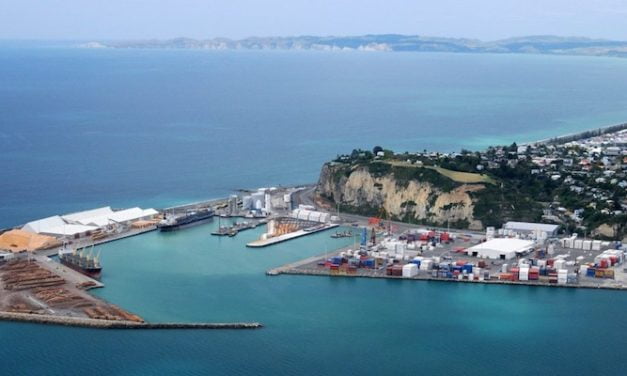 Napier Port trade volumes in line with forecasts