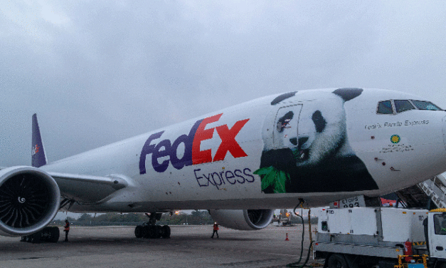Panda takes to the air