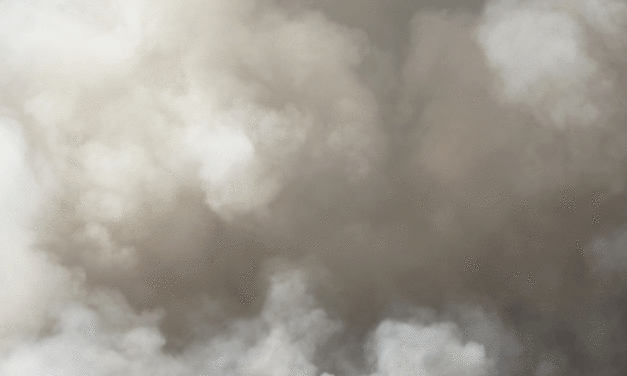 Bushfire smoke poses work risks, wharfies say