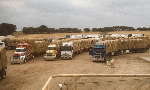 Truck drivers bring aid to Gippsland farmers
