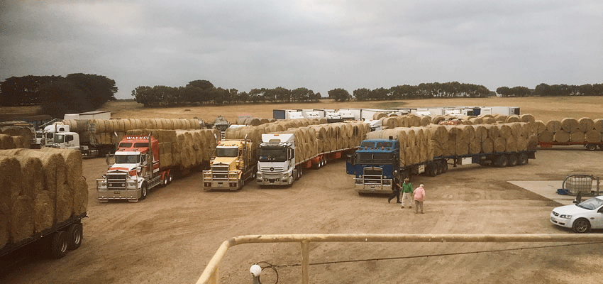 Truck drivers bring aid to Gippsland farmers