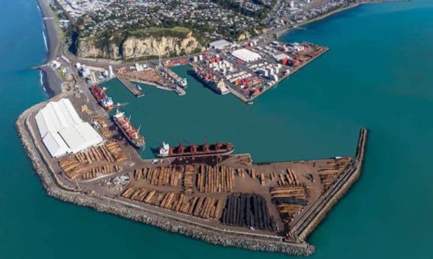 Half-year results for port show falls in revenue, cargo