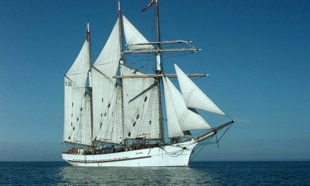 Industry lends a hand with the restoration of tall ship Alma Doepel