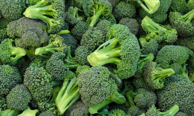 Queensland broccoli set to soar in Singapore