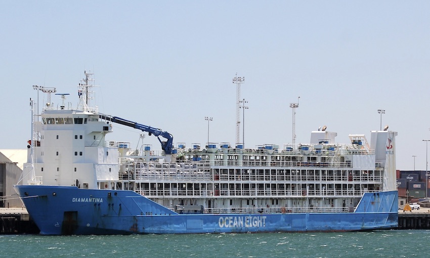 Livestock carrier crew in quarantine after positive COVID tests