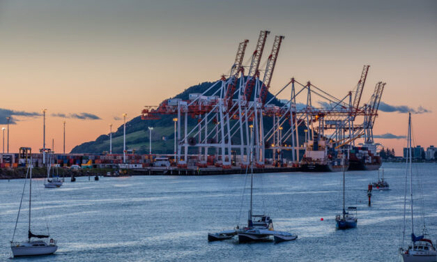 Port of Tauranga improves performance in first half
