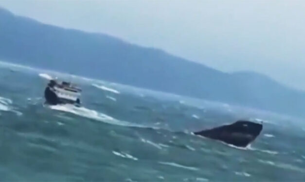 VIDEO: Bulker breaks up in Black Sea
