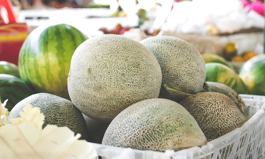 Queensland melons back on track to New Zealand