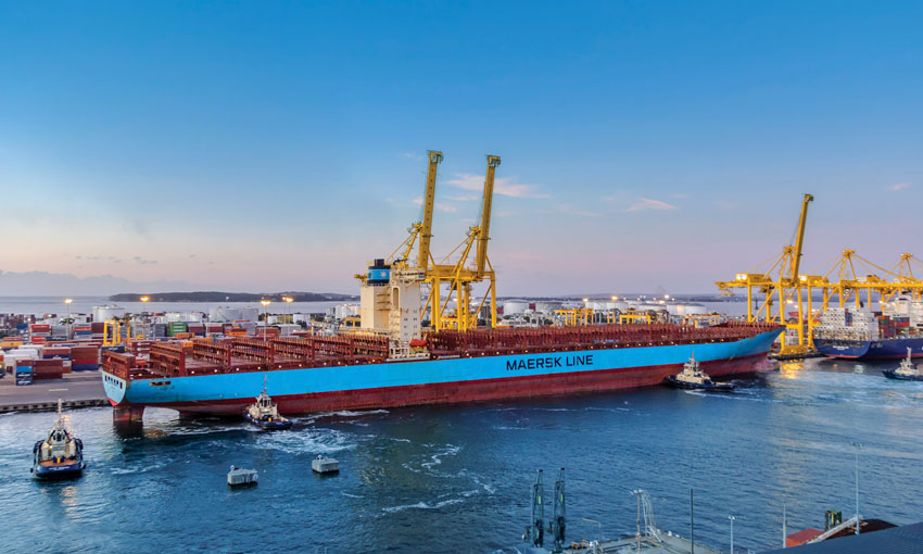 Botany breaks record with longest containership